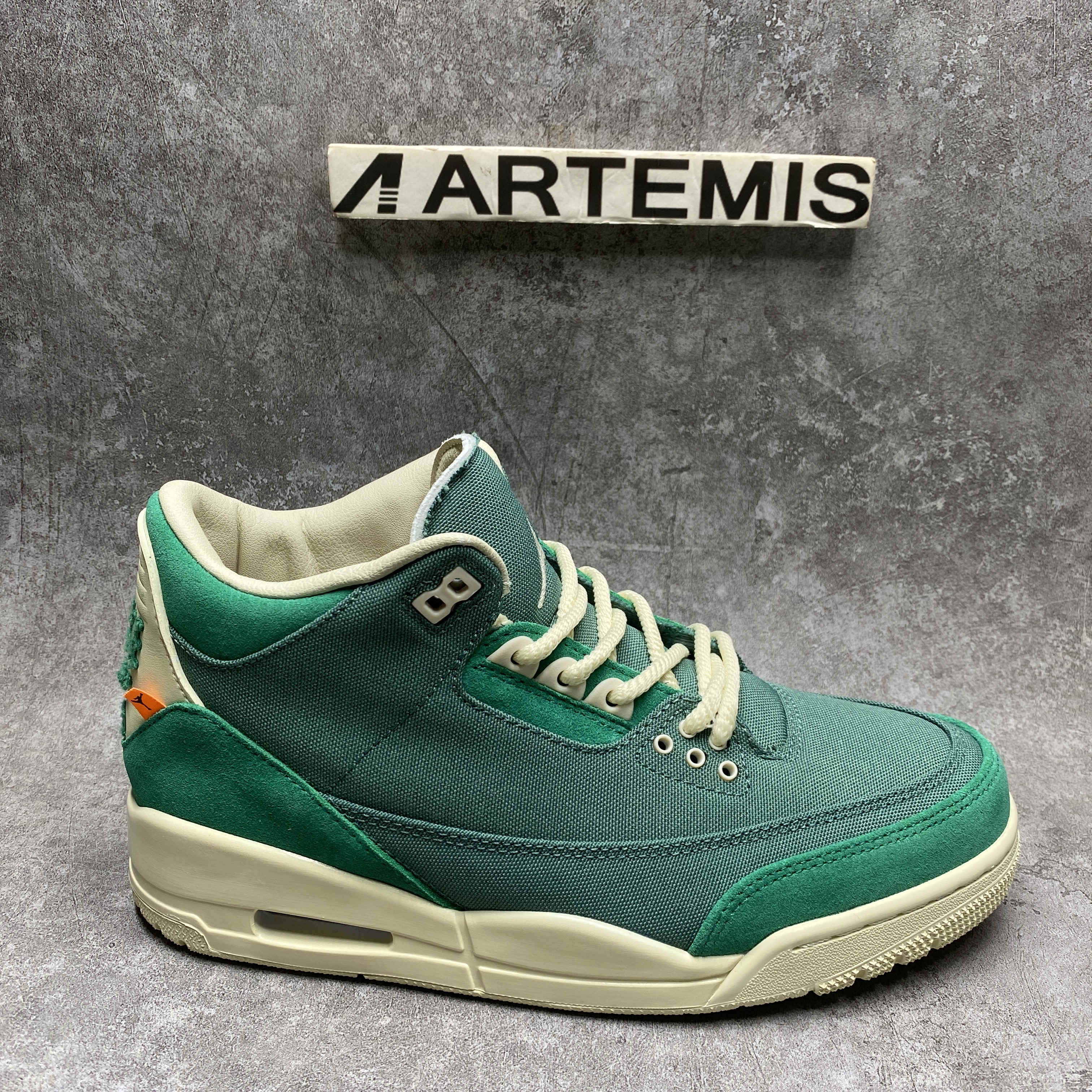 ua nina Ch*el abney x air jordan 3