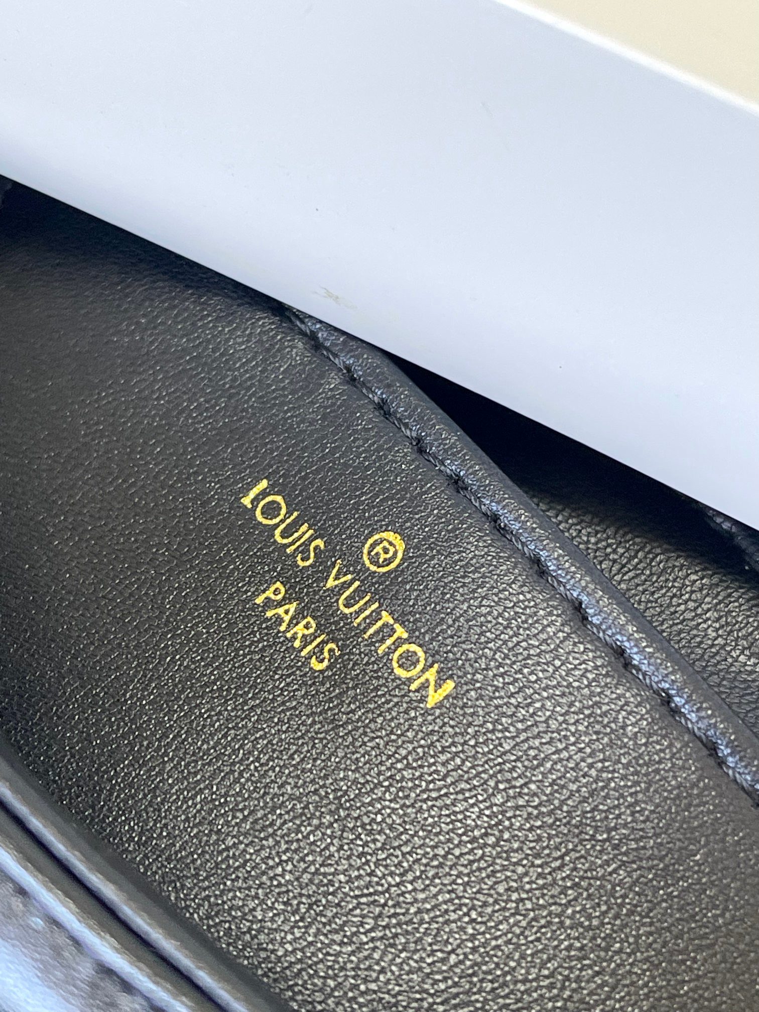 l0*is V*t0n m23689 go-14 gm 12.2 x 7.7 x 4.3 inches