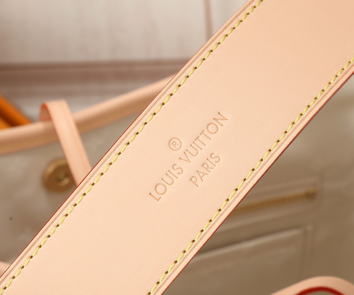 LV CarryAll PM  M24707 11.6x9.4x4.7 inches